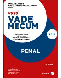 frente_mini-VM-penal